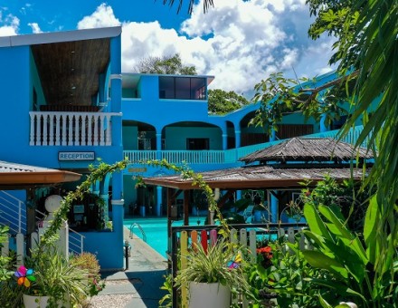 See What Awaits You at Toro Blanco Hotel!