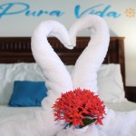 #2 – Poolside Family Retreat