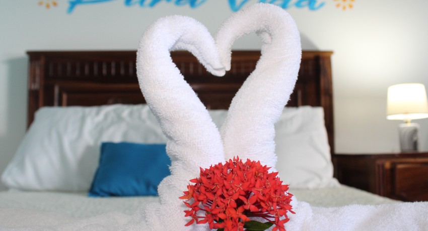 #2 – Poolside Family Retreat